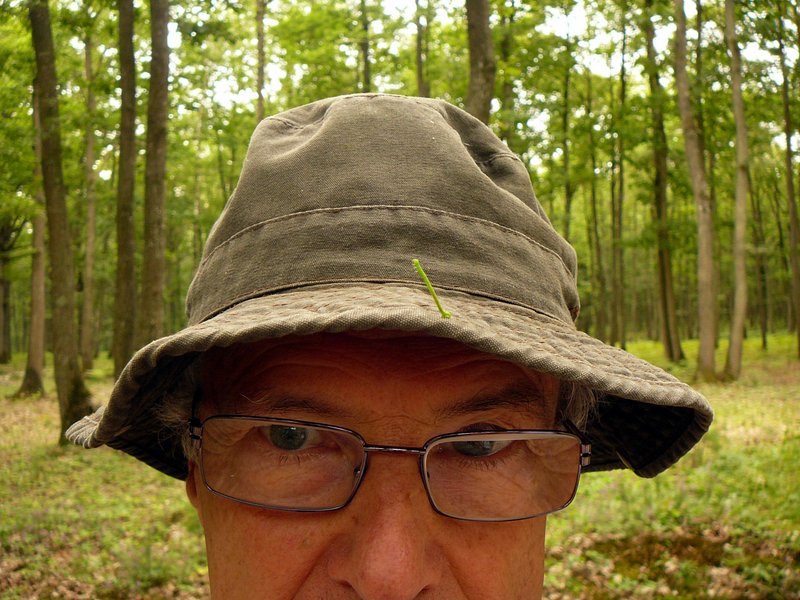 Chenille sur bob... non Bernard !